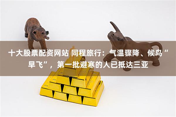 十大股票配资网站 同程旅行：气温骤降、候鸟“早飞”，第一批避寒的人已抵达三亚