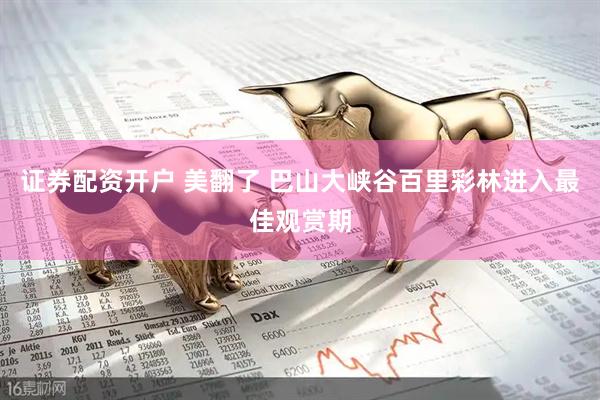 证券配资开户 美翻了 巴山大峡谷百里彩林进入最佳观赏期