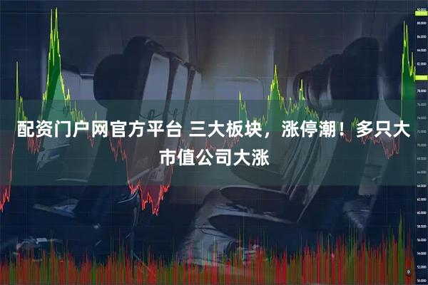 配资门户网官方平台 三大板块,涨停潮!多只大市值公司大涨